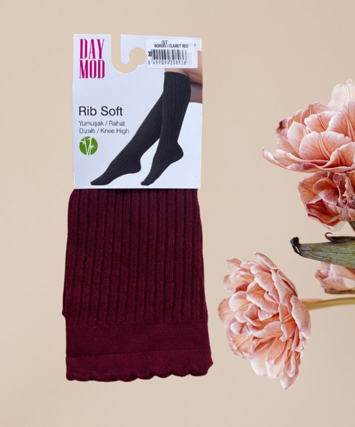 Ribana Kadın Dizaltı Çorap - 2