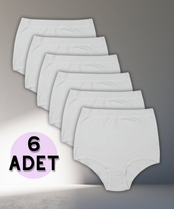 6'lı Paket Modal Yüksek Bel Toparlayıcı Bato Külot - 4