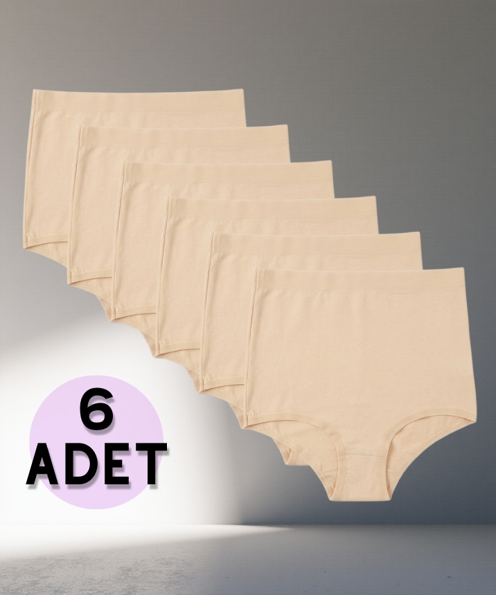 6'lı Paket Modal Yüksek Bel Toparlayıcı Bato Külot TEN